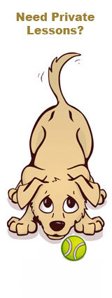 Tan Dog