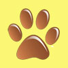 Bronze membership
