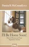 I'll Be Home Soon