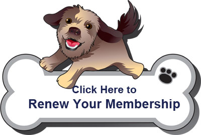 Renew