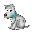 shy dog