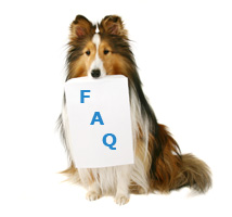 Sheltie with a sign