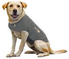 Thundershirt