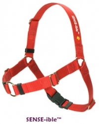 Sense-ible Harness